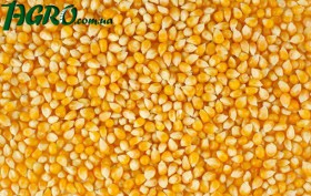 1agro.com.ua