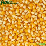 1agro.com.ua