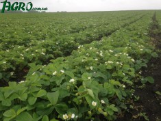 1agro.com.ua