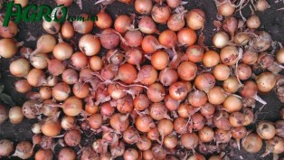1agro.com.ua
