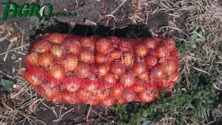 1agro.com.ua