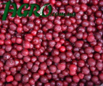 1agro.com.ua