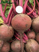 1agro.com.ua
