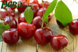 1agro.com.ua