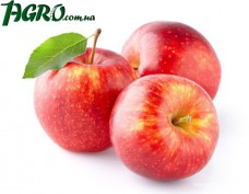 1agro.com.ua