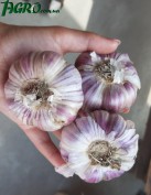 1agro.com.ua