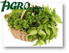 1agro.com.ua