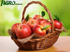 1agro.com.ua