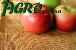 1agro.com.ua