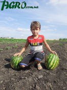 1agro.com.ua