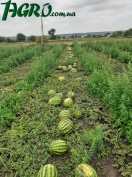 1agro.com.ua