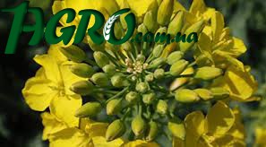 1agro.com.ua