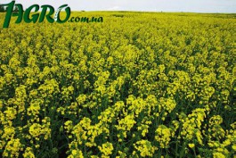 1agro.com.ua