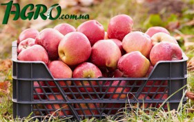 1agro.com.ua