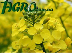 1agro.com.ua