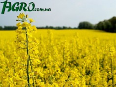 1agro.com.ua