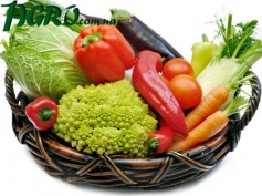 1agro.com.ua