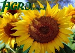 1agro.com.ua