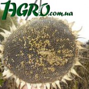 1agro.com.ua