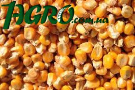 1agro.com.ua