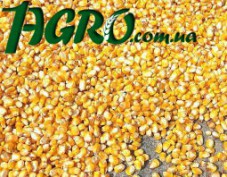 1agro.com.ua