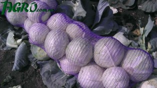 1agro.com.ua