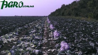 1agro.com.ua