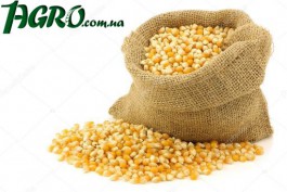 1agro.com.ua