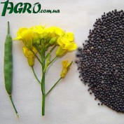 1agro.com.ua