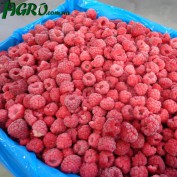 1agro.com.ua