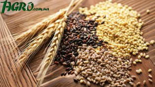 1agro.com.ua
