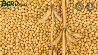 1agro.com.ua