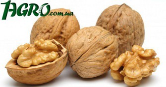 1agro.com.ua