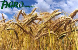 1agro.com.ua
