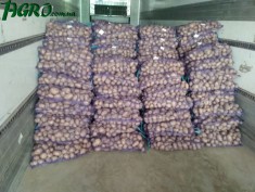 1agro.com.ua