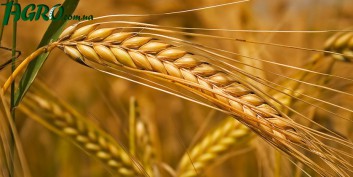 1agro.com.ua