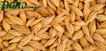 1agro.com.ua