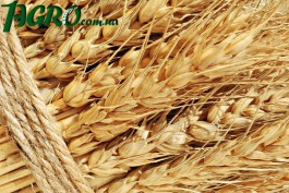 1agro.com.ua