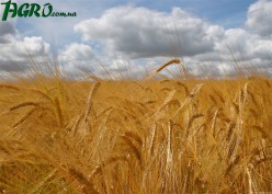 1agro.com.ua