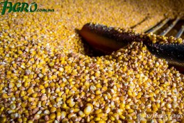 1agro.com.ua