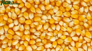 1agro.com.ua