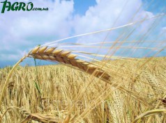 1agro.com.ua