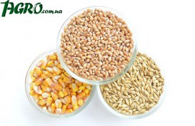 1agro.com.ua