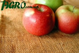 1agro.com.ua
