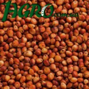 1agro.com.ua