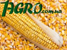 1agro.com.ua