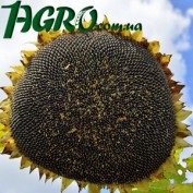 1agro.com.ua
