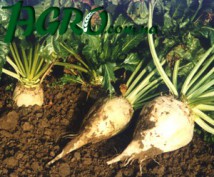 1agro.com.ua
