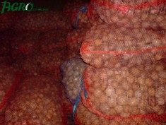 1agro.com.ua