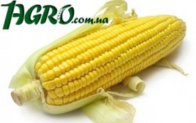 1agro.com.ua